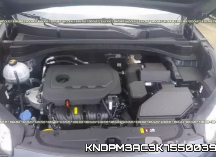 KNDPM3AC3K7550039 фото 2
