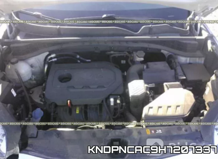KNDPNCAC9H7207337 фото 2