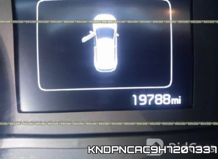 KNDPNCAC9H7207337 фото 8
