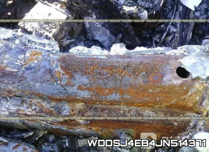 WDDSJ4EB4JN514371 фото 10