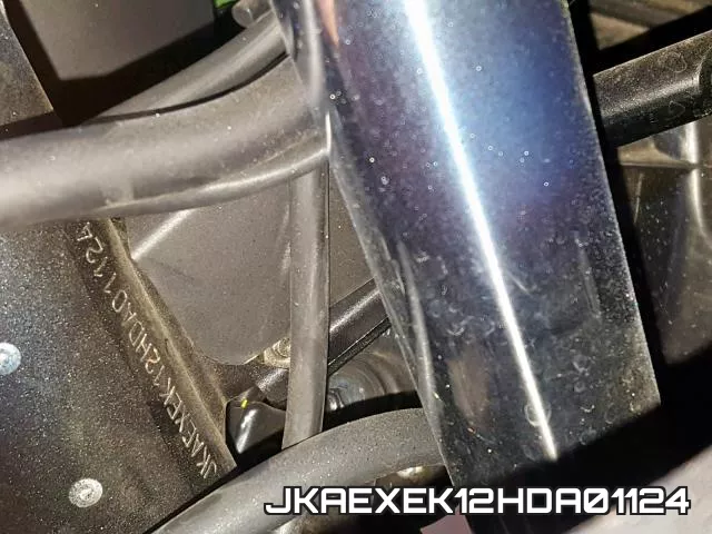 JKAEXEK12HDA01124 фото 2