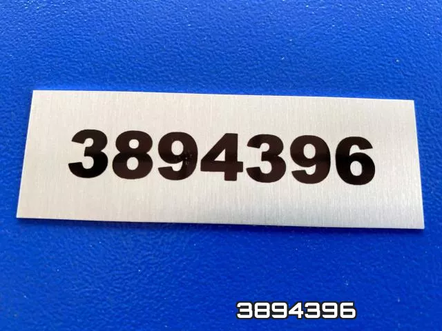 3894396 фото 2