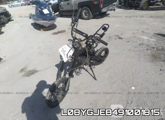 L08YGJEB491001815 фото 3