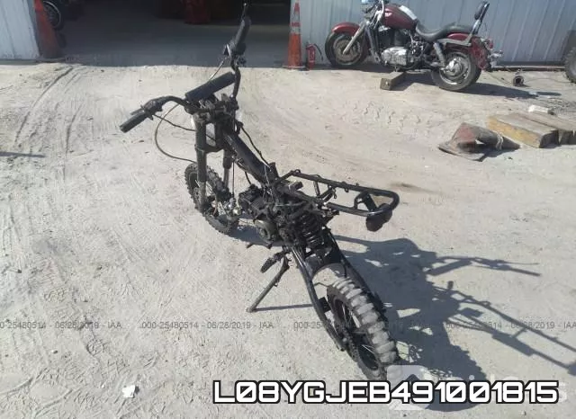 L08YGJEB491001815 фото 4