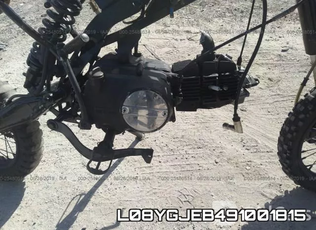 L08YGJEB491001815 фото 9