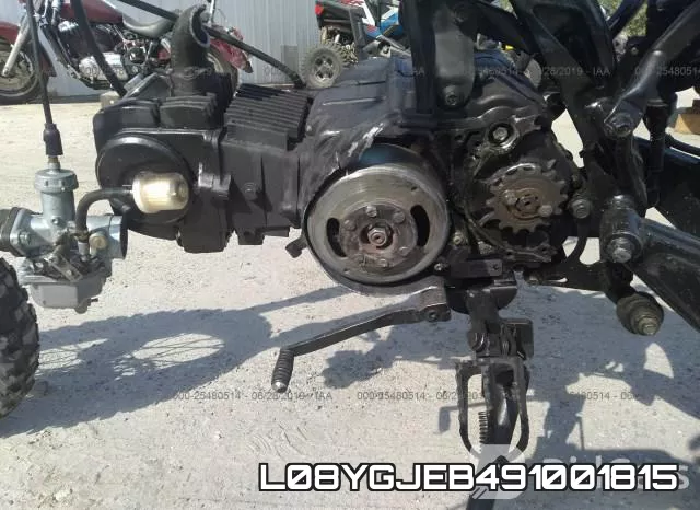 L08YGJEB491001815 фото 10