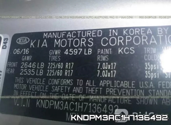 KNDPM3AC1H7136492 фото 10