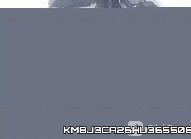 KM8J3CA26HU365506 фото 2