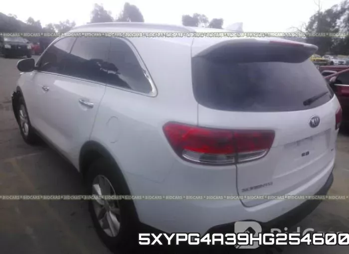 5XYPG4A39HG254600 фото 4