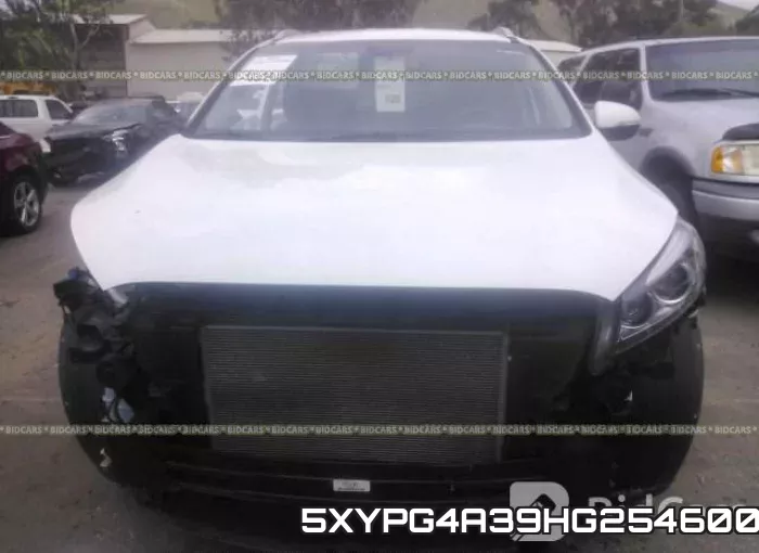 5XYPG4A39HG254600 фото 7