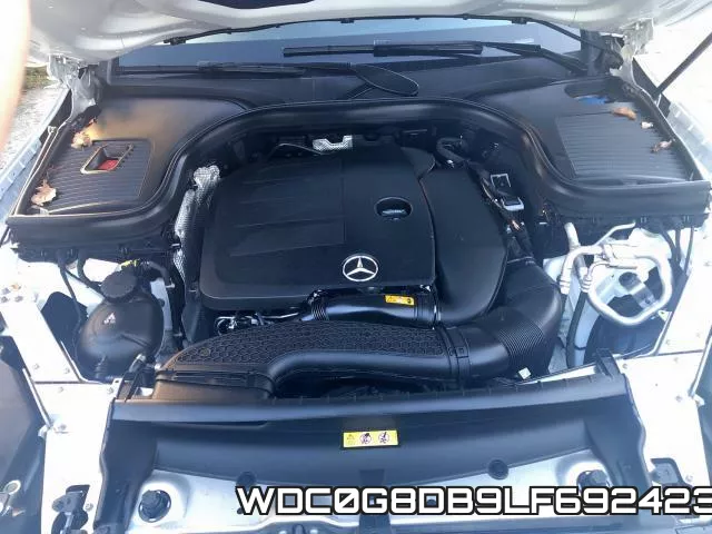 WDC0G8DB9LF692423 фото 8