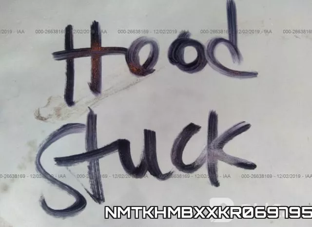 NMTKHMBXXKR069795 фото 2