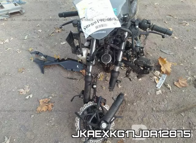 JKAEXKG17JDA12875 фото 6