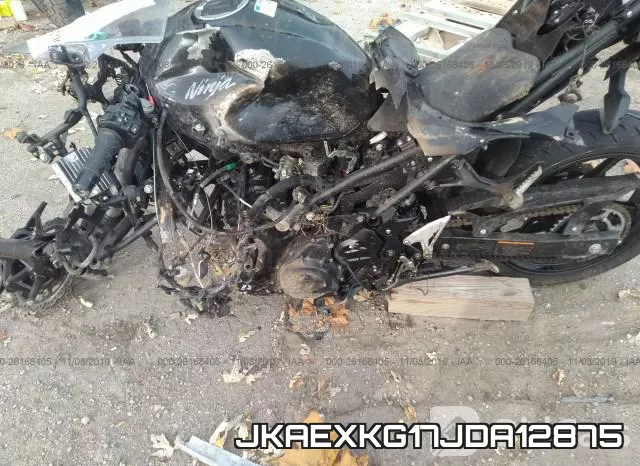 JKAEXKG17JDA12875 фото 10
