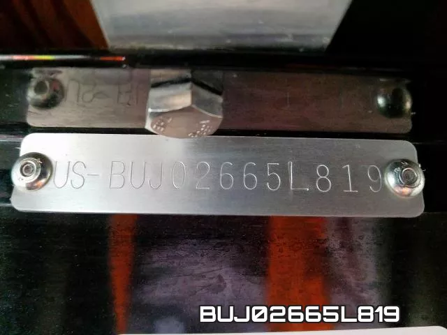 BUJ02665L819 фото 2