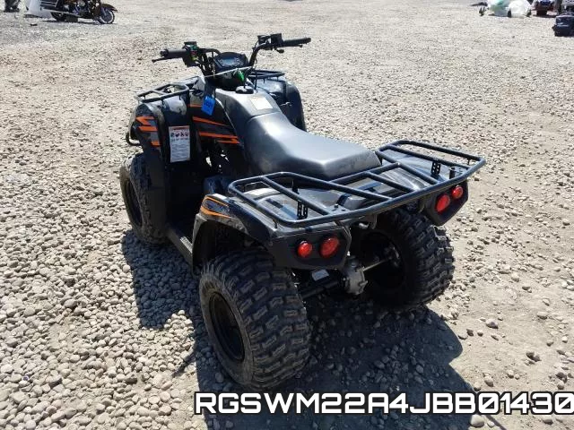 RGSWM22A4JBB01430 фото 4