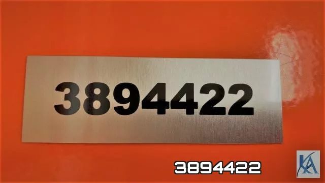 3894422 фото 2