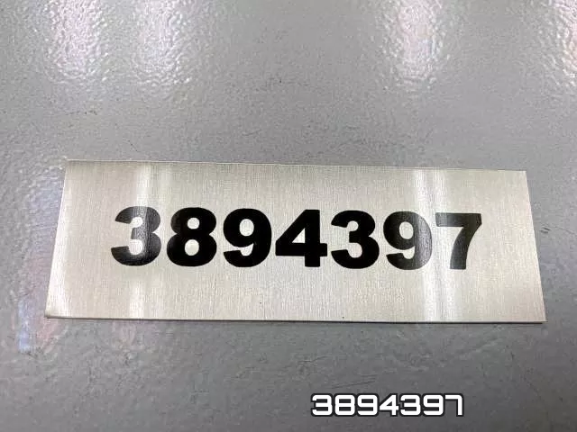 3894397 фото 2