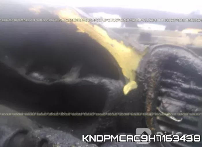 KNDPMCAC9H7163438 фото 8