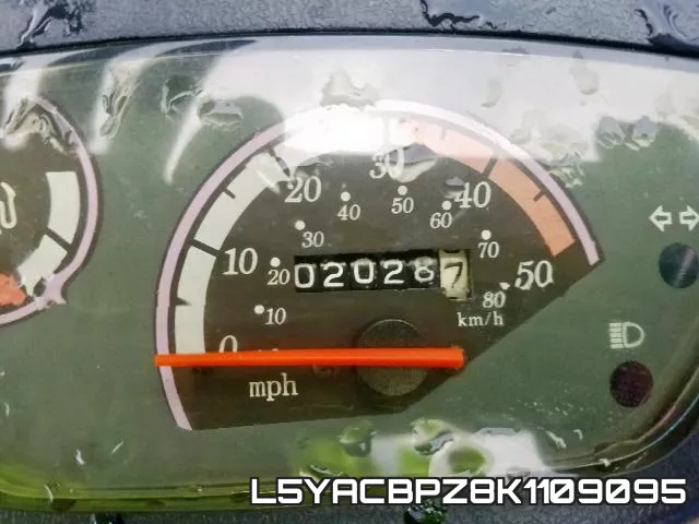 L5YACBPZ8K1109095 фото 9
