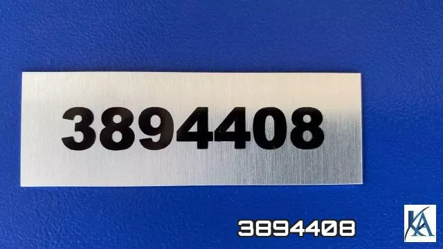 3894408 фото 2