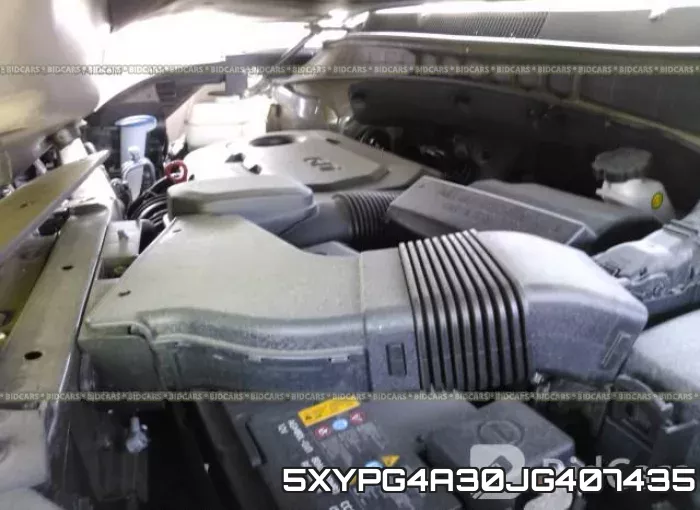 5XYPG4A30JG407435 фото 2