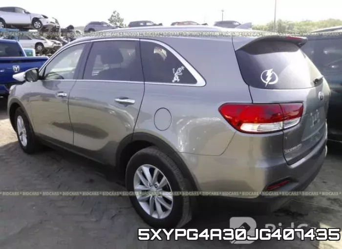 5XYPG4A30JG407435 фото 4