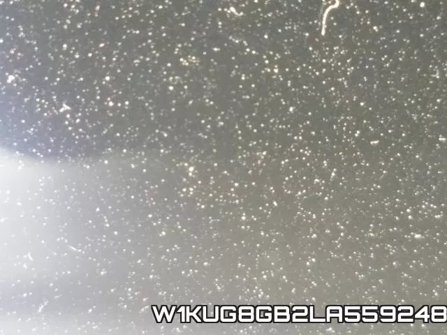 W1KUG8GB2LA559248 фото 9
