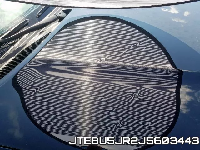 JTEBU5JR2J5603443 фото 10