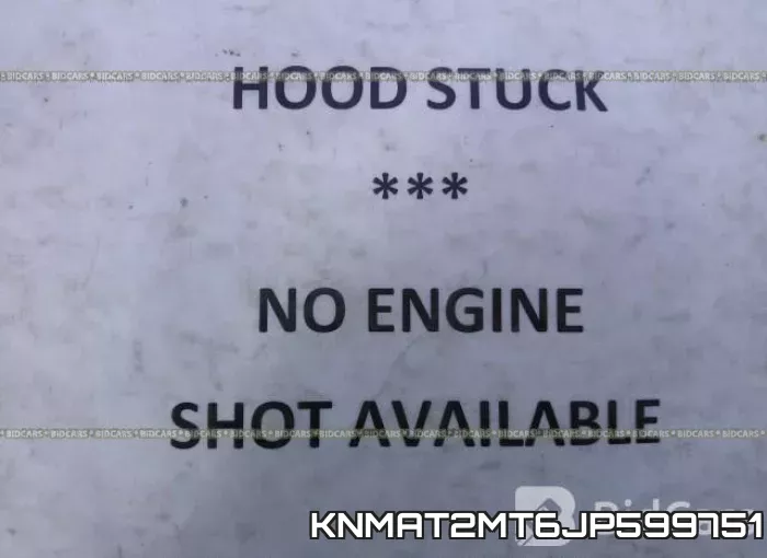 KNMAT2MT6JP599751 фото 2