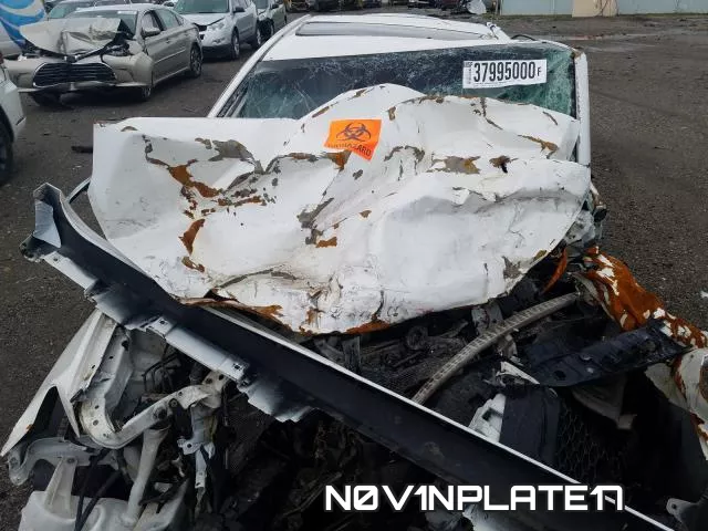 N0V1NPLATE17 фото 8