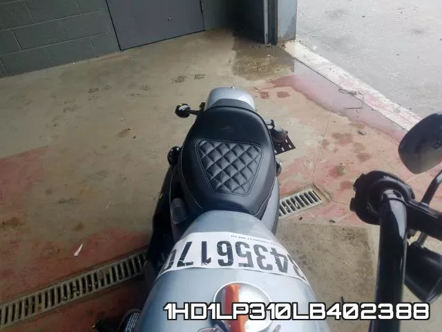 1HD1LP310LB402388 фото 7