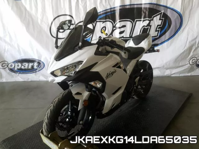 JKAEXKG14LDA65035 фото 3