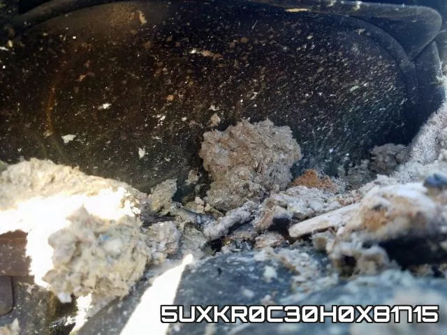 5UXKR0C30H0X81715 фото 9