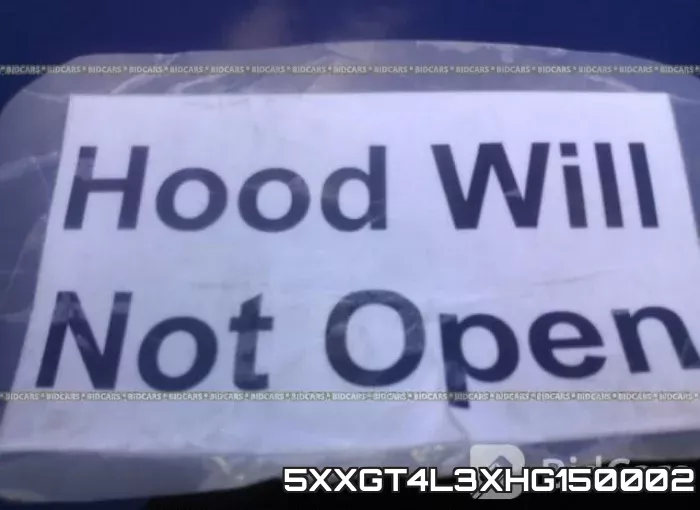 5XXGT4L3XHG150002 фото 2