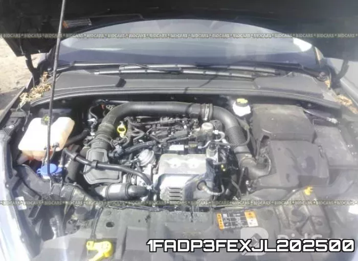 1FADP3FEXJL202500 фото 2