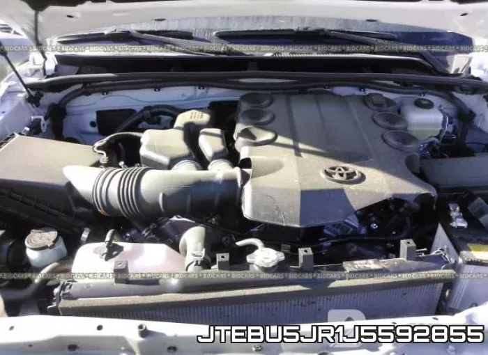 JTEBU5JR1J5592855 фото 2