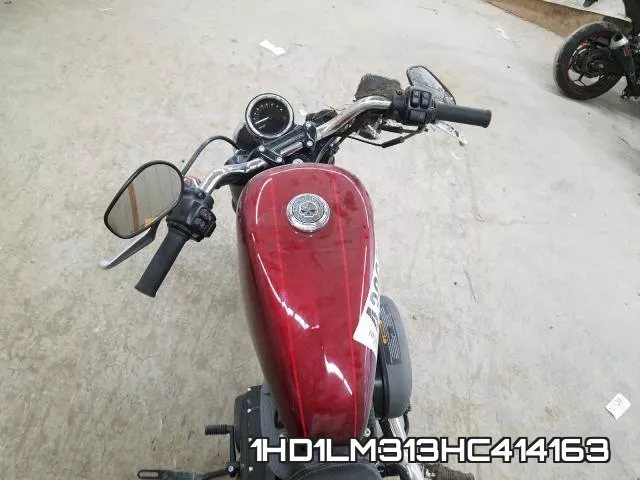 1HD1LM313HC414163 фото 6