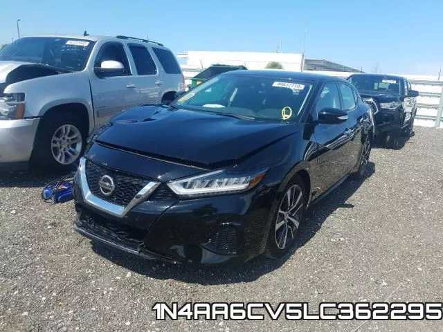 1N4AA6CV5LC362295 фото 3