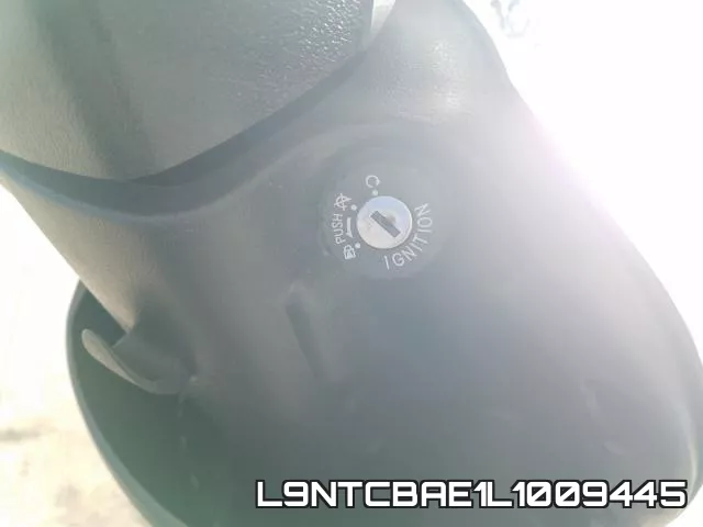 L9NTCBAE1L1009445 фото 6