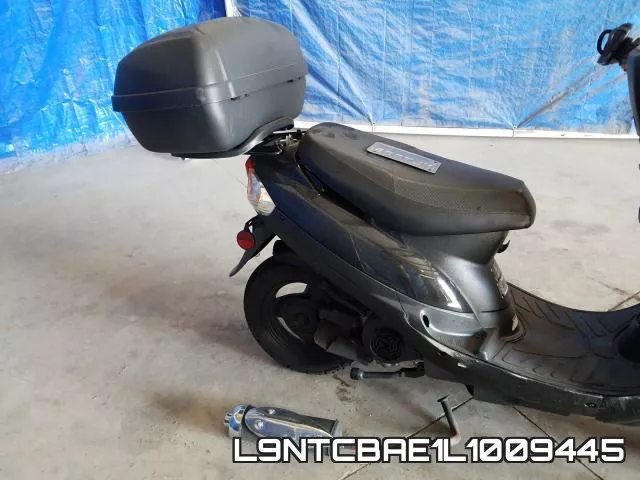 L9NTCBAE1L1009445 фото 7