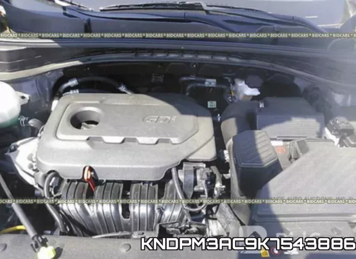 KNDPM3AC9K7543886 фото 2