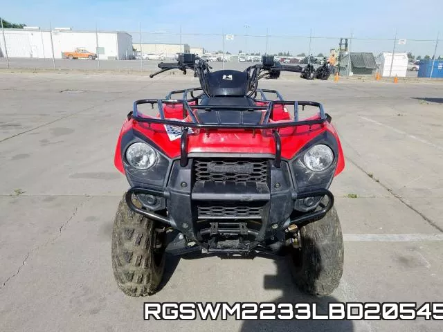 RGSWM2233LBD20545 фото 4