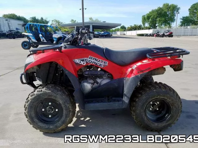 RGSWM2233LBD20545 фото 6
