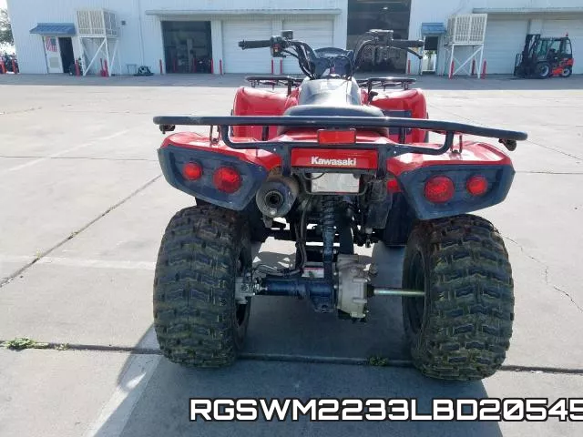 RGSWM2233LBD20545 фото 8