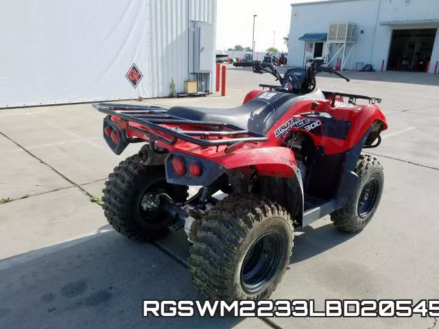 RGSWM2233LBD20545 фото 9