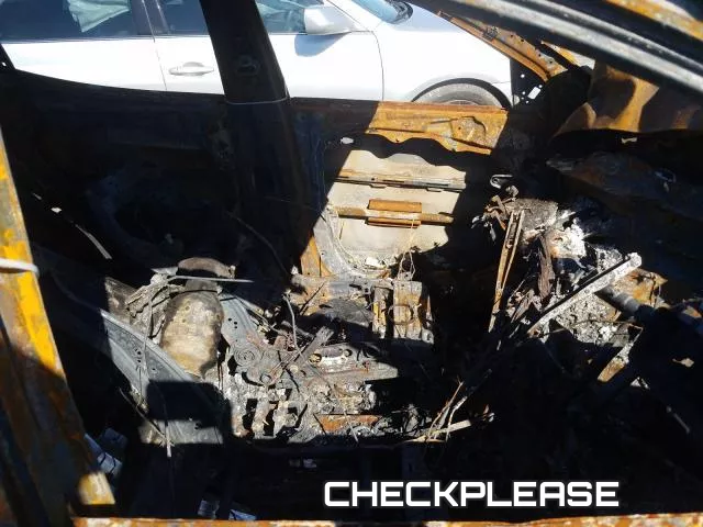 CHECKPLEASE фото 6