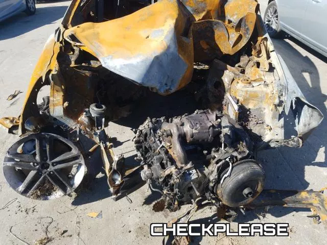 CHECKPLEASE фото 8