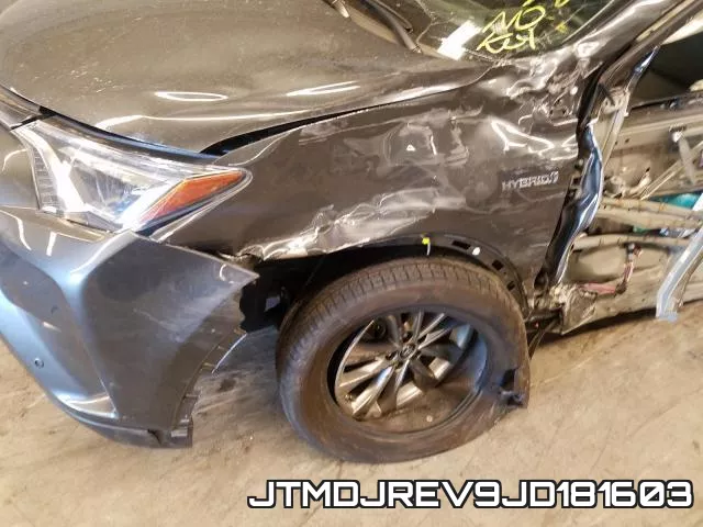 JTMDJREV9JD181603 фото 10