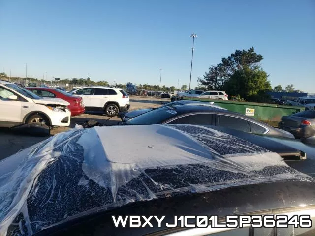 WBXYJ1C01L5P36246 фото 10